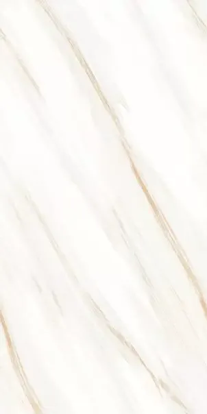 upload/Endless Series/LEO ONYX R1.webp